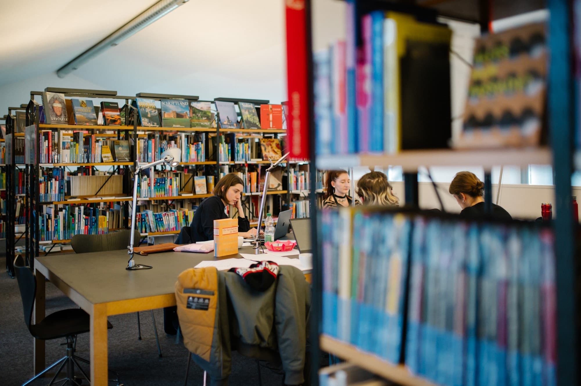 Arbeit in der Bücherei Hohenems und im Studio Villa Rosenthal